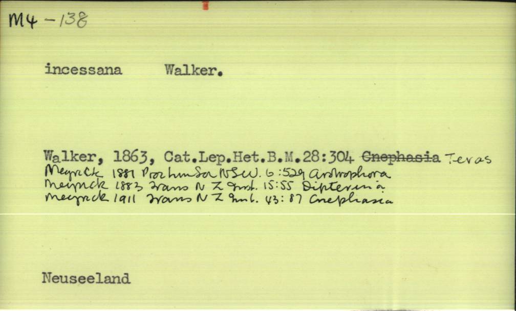 front of card
